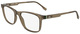 Transparent Brown / Clear