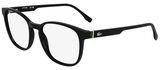 Black / Clear