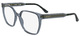 Transparent Grey / Clear