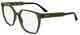 Transparent Khaki / Clear