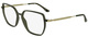 Transparent Khaki / Clear