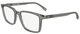 Transparent Grey / Clear