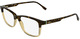 Havana / Transparent Caramel / Clear