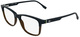 Blue / Transparent Brown / Clear