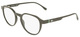 Khaki / Clear