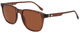 Transparent Brown