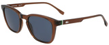 Transparent Brown