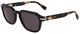 Black / Havana