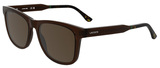 Transparent Dark Brown