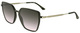 Transparent Khaki