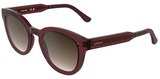 Transparent Burgundy