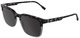 Havana Grey / Transparent Grey