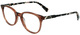 Pink Tortoise / Clear