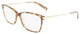 Marble Brown Azure / Clear