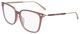 Rose Tortoise / Clear