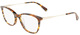 Dark Havana / Clear