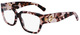 Rose Havana / Clear