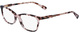 Tokyo Purple Havana / Clear