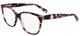 Rose Havana / Clear