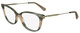 Striped Green / Clear