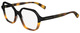 Black / Havana / Clear