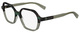 Olive / Havana / Clear