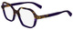 Purple / Havana / Clear