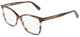 Striped Brown / Clear