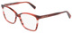 Striped Red / Clear