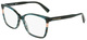 Striped Green / Clear