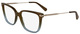 Transparent Brown / Azure / Clear