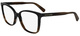Black / Havana / Clear