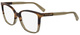 Striped Brown / Brown / Clear