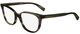 Striped Brown / Clear