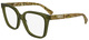 Transparent Khaki / Clear