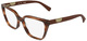 Striped Brown / Clear