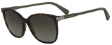 Longchamp Sunglasses LO612S 213
