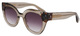 Olive / Havana