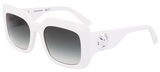 Longchamp Sunglasses LO753S 109