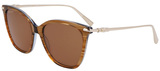Longchamp Sunglasses LO757S 211
