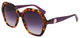 Purple Havana / Purple