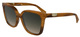 Striped Brown