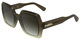Transparent Grad Brown / Yellow