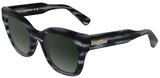 Longchamp Sunglasses LO791S 036