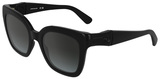 Longchamp Sunglasses LO793S 001