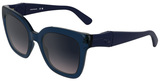Longchamp Sunglasses LO793S 400