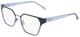 Navy / Blue / Clear