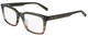 Olive Brown Horn / Clear