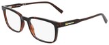 Dark Tortoise / Clear