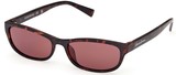 Guess Jeans Sunglasses GJ00004 52S